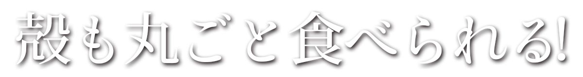 殻ごとサクッと！！